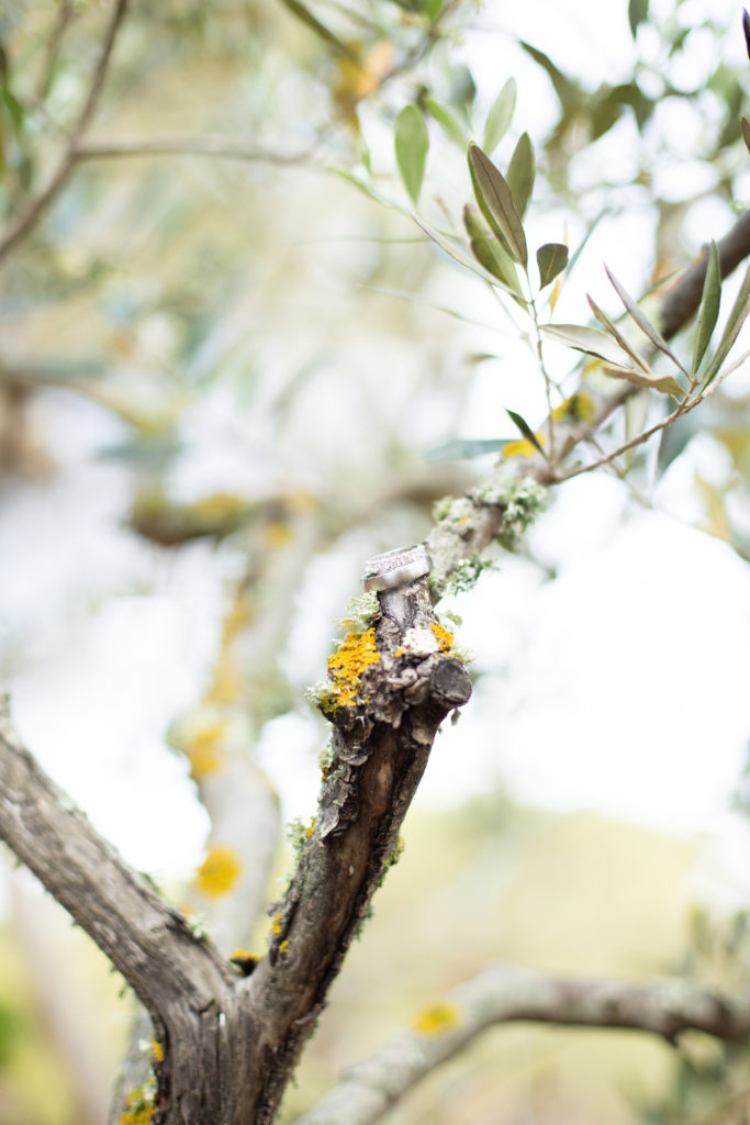 Mariage Porto-Vecchio