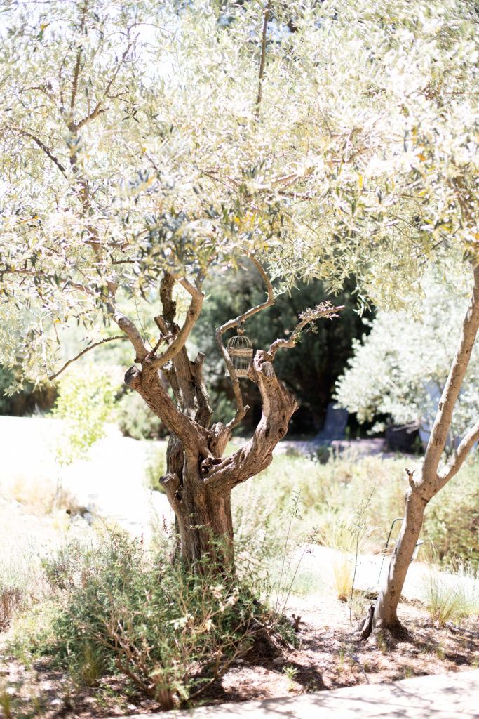 Photographe Mariage en Provence