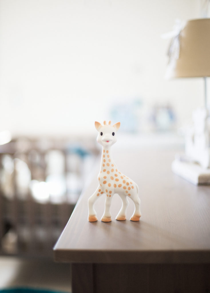 Photographe Naissance Ajaccio