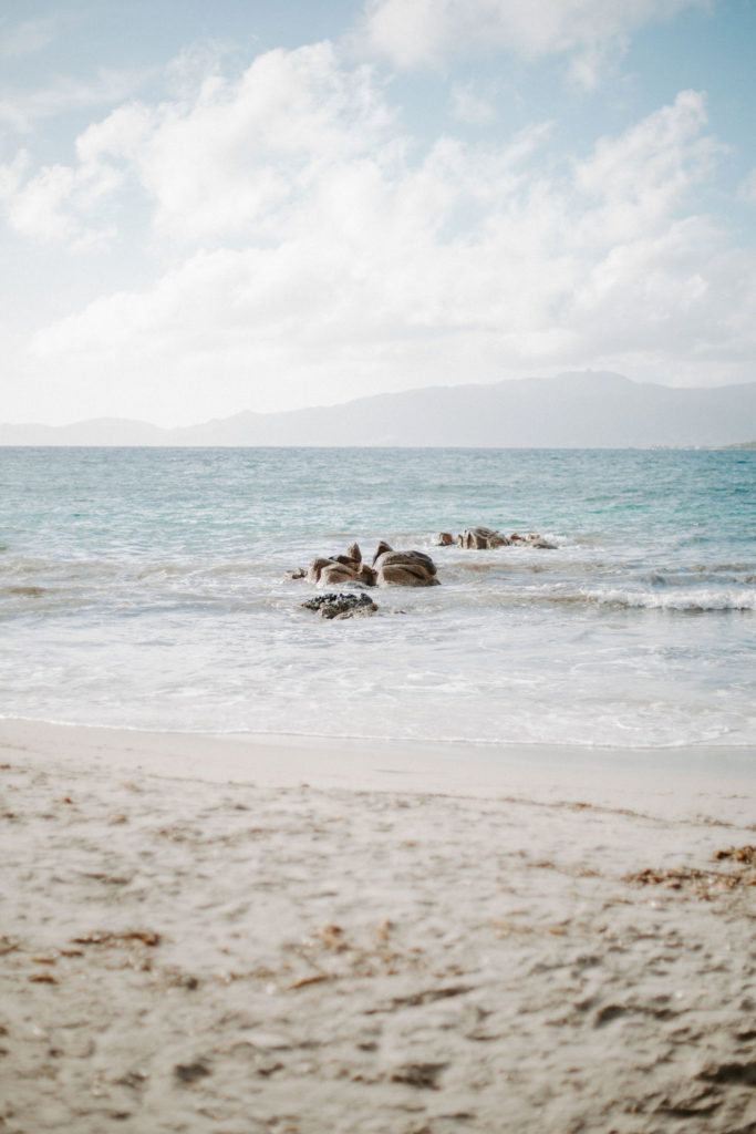 Photographe EVJF CORSE