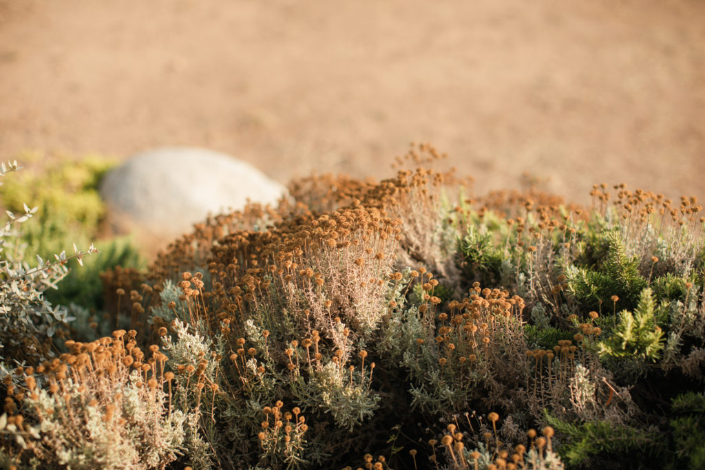 Photographe Mariage Casabianca Piana