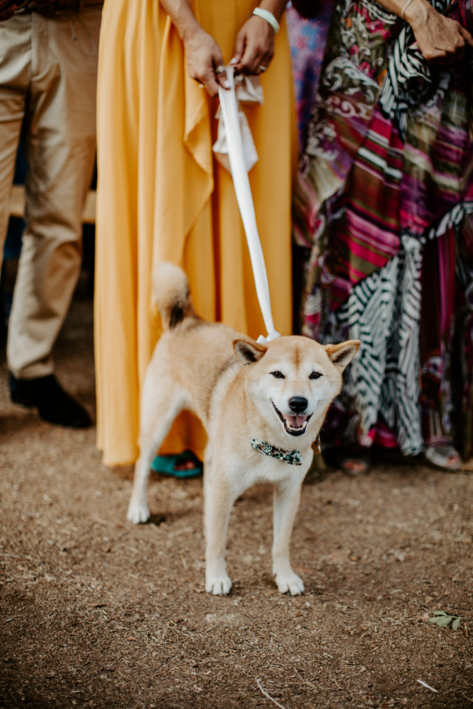 Photographe Mariage Piana Corse