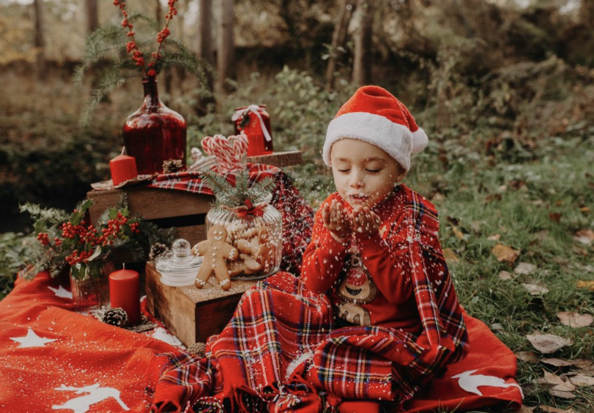 Photographe Noel Ajaccio