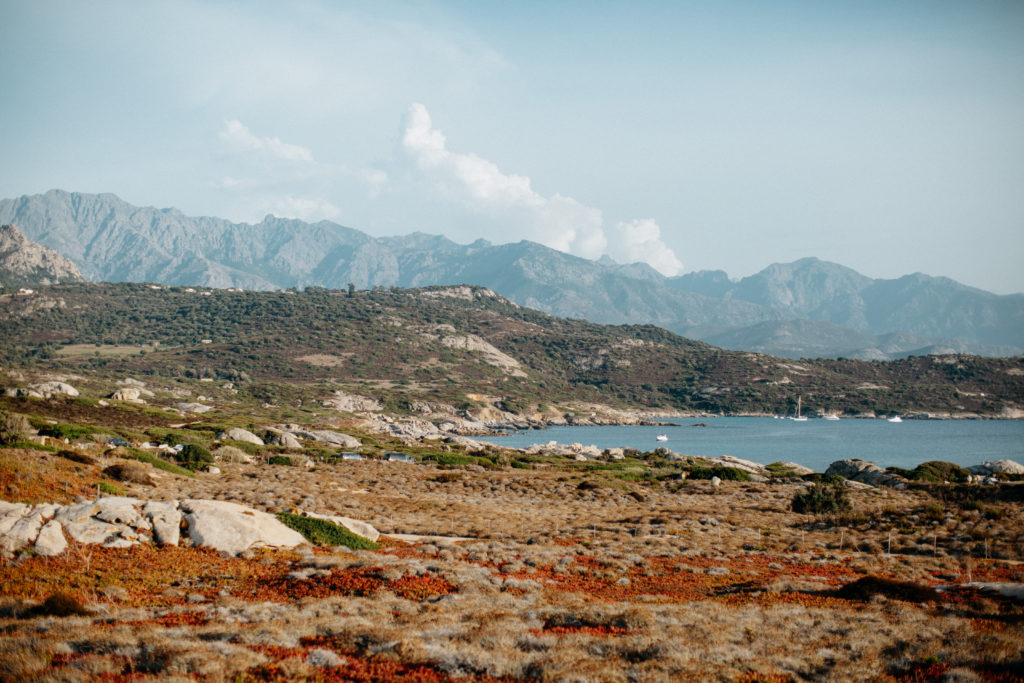 Pique Nique Corse